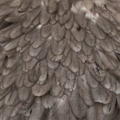 Nature's Spirit Feathers & Hackle Whiting American Hen Saddles 32 Nature's Spirit Feathers & Hackle Whiting American Hen Saddles