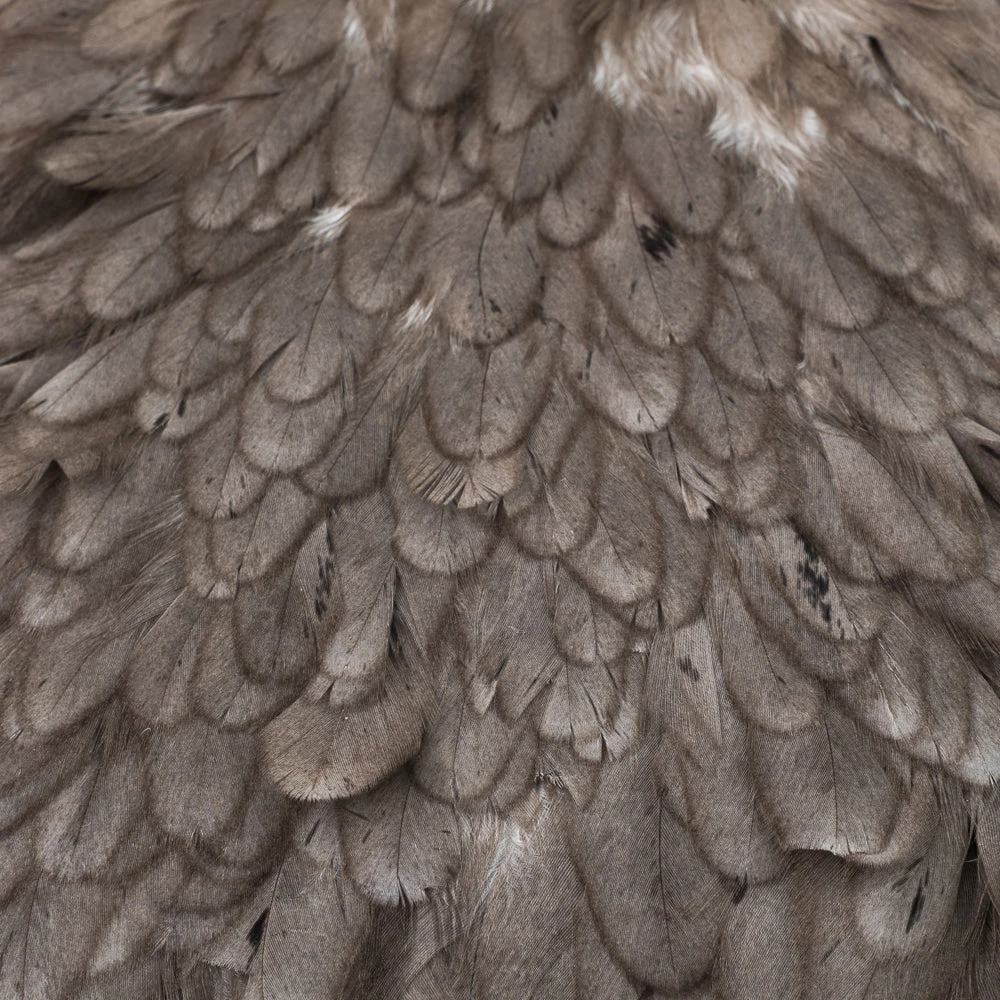 Nature's Spirit Feathers & Hackle Whiting American Hen Saddles 14 Nature's Spirit Feathers & Hackle Whiting American Hen Saddles