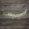 Gifts & Accessories Rep Your Water Artist Reserve Musky Sticker