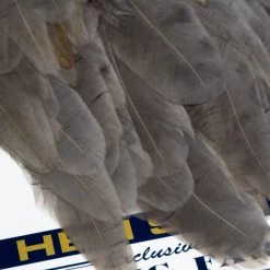 Nature's Spirit Feathers & Hackle Whiting American Hen Saddles 31 Nature's Spirit Feathers & Hackle Whiting American Hen Saddles