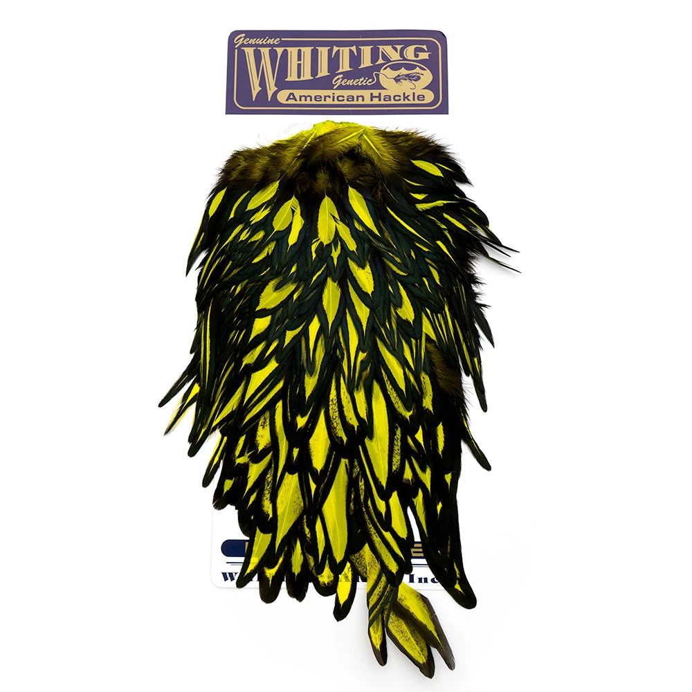 Nature's Spirit Feathers & Hackle Whiting American Hen Saddles 18 Nature's Spirit Feathers & Hackle Whiting American Hen Saddles