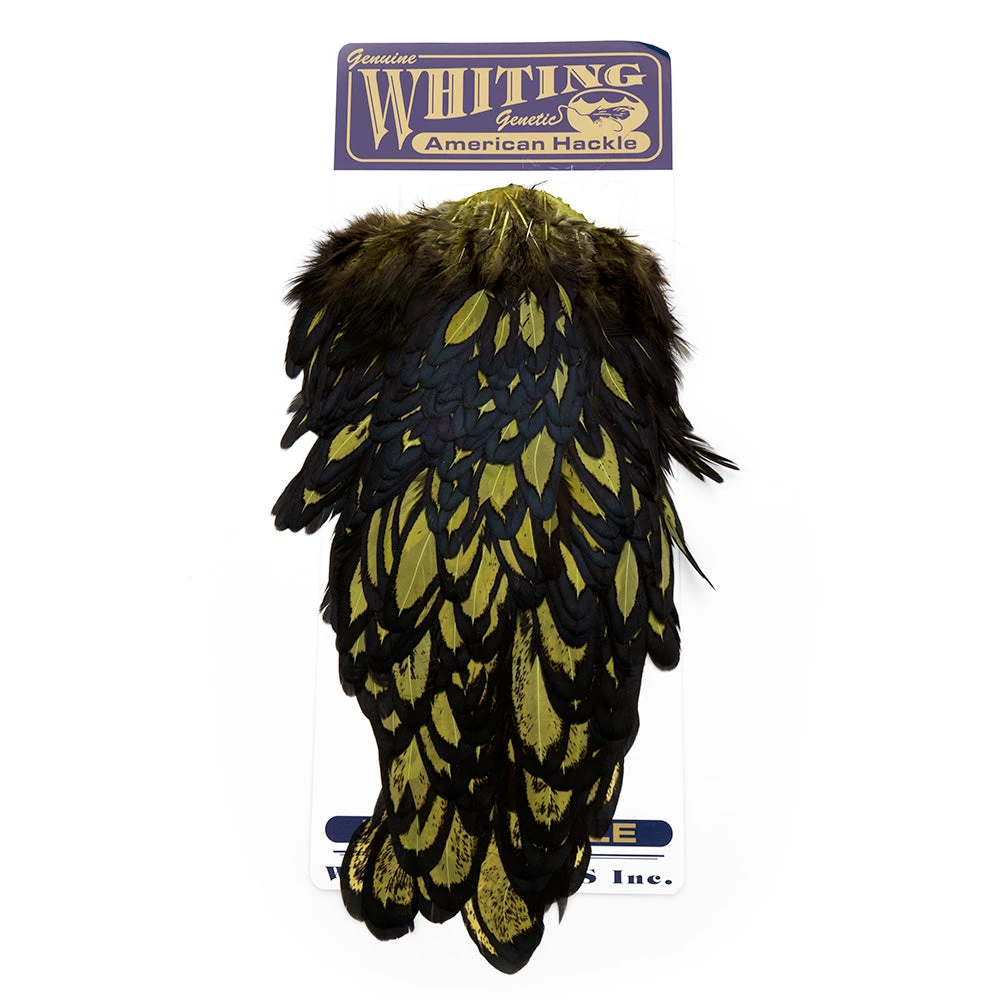 Nature's Spirit Feathers & Hackle Whiting American Hen Saddles 17 Nature's Spirit Feathers & Hackle Whiting American Hen Saddles