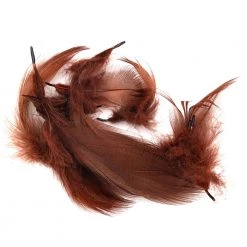 Wapsi Fly Mallard Barred Flanks Feathers & Hackle 14 Wapsi Fly Mallard Barred Flanks Feathers & Hackle