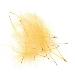 Wapsi Fly Feathers & Hackle CDC Feathers