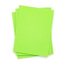 Nature's Spirit Bug Foam