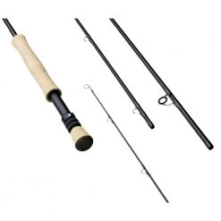 Far Bank Enterprises Sage Foundation