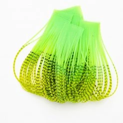 Wapsi Fly Fire Tipped Sili Legs Chenille, Braid & Body Materials 32 Wapsi Fly Fire Tipped Sili Legs Chenille, Braid & Body Materials