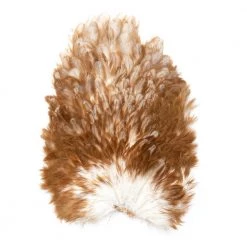 The Northern Angler Fly Shop Feathers & Hackle Keough Game Changer Saddles