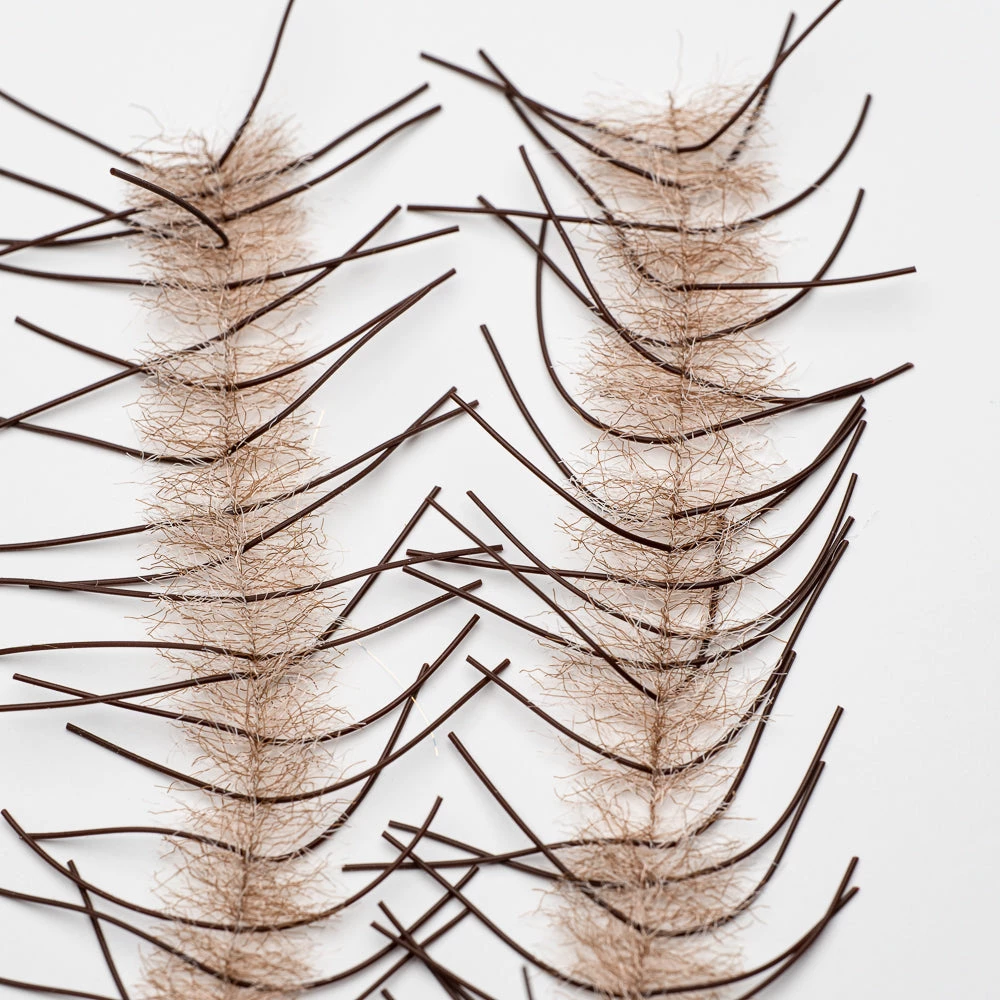 Renzetti Lively Leg Crustacean Brushes 3 Renzetti Lively Leg Crustacean Brushes