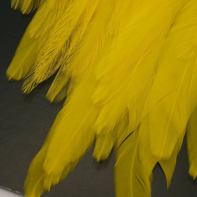 Umpqua Feather Merchants Feathers & Hackle Metz #2 Magnum Saddle 2 Umpqua Feather Merchants Feathers & Hackle Metz #2 Magnum Saddle