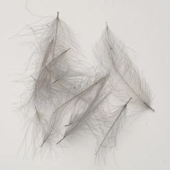 Feathers & Hackle Nature's Spirit CDC