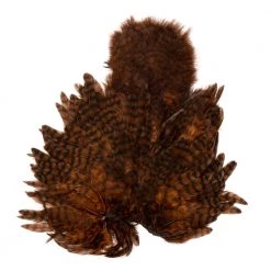 Nature's Spirit Whiting Soft Hackle With Chickabou Feathers & Hackle