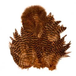 Nature's Spirit Whiting Soft Hackle With Chickabou Feathers & Hackle