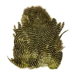 Nature's Spirit Whiting Soft Hackle With Chickabou Feathers & Hackle