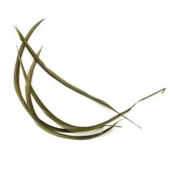 Wapsi Fly Goose Biots