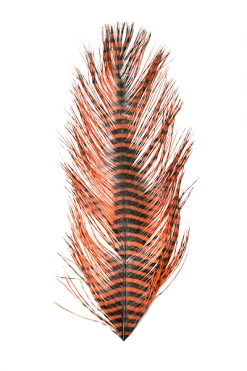 Montana Fly Company MFC Barred Ostrich Plumes Feathers & Hackle