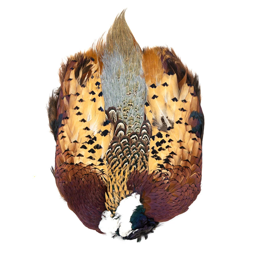 Wapsi Fly Feathers & Hackle Ringneck Pheasant Skin 1 Wapsi Fly Feathers & Hackle Ringneck Pheasant Skin