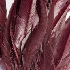 Nature's Spirit Feathers & Hackle Whiting Schlappen Bundles