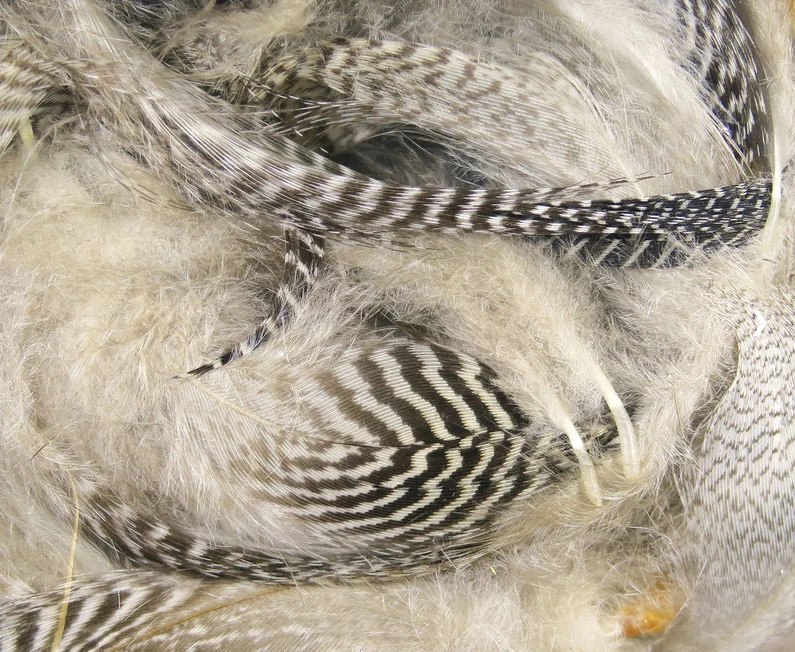 Hareline Dubbin Teal Flank Feathers Feathers & Hackle 2 Hareline Dubbin Teal Flank Feathers Feathers & Hackle