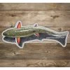 Gifts & Accessories Rep Your Water Shallow Brookie Sticker