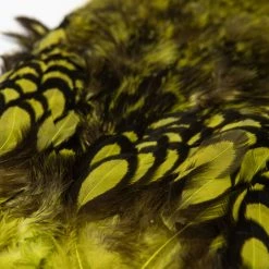 Nature's Spirit Whiting Soft Hackle With Chickabou Feathers & Hackle