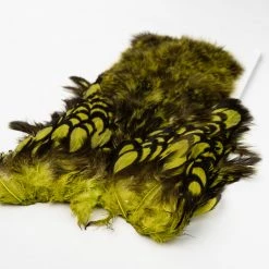 Nature's Spirit Whiting Soft Hackle With Chickabou Feathers & Hackle