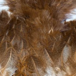 Nature's Spirit Whiting Soft Hackle With Chickabou Feathers & Hackle