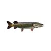 Boneyard Fly Gear Pike Decal Gifts & Accessories