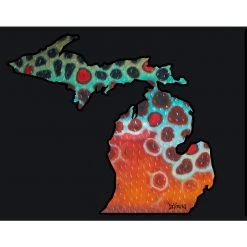 DeYoung Studio DeYoung Michigan Flank Decals