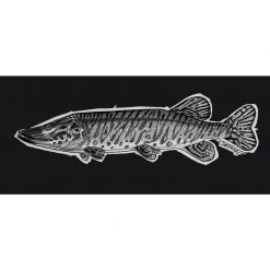 DeYoung Studio DeYoung Musky Sketch Decal
