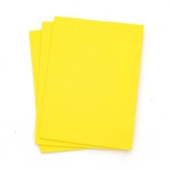 Nature's Spirit Bug Foam