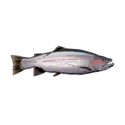 Boneyard Fly Gear Gifts & Accessories Boneyard Fish Decals