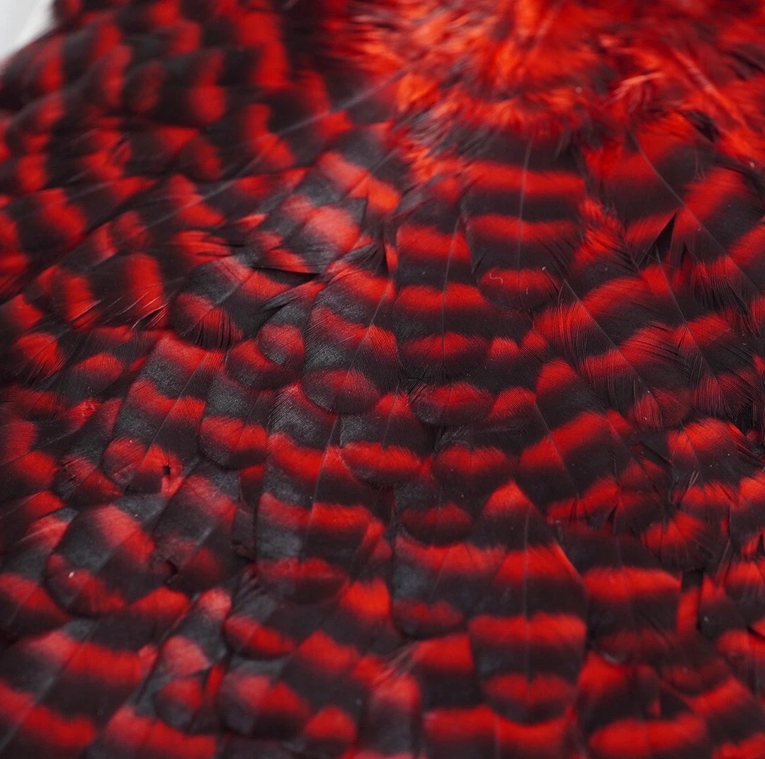 Nature's Spirit Feathers & Hackle Whiting American Hen Saddles 12 Nature's Spirit Feathers & Hackle Whiting American Hen Saddles