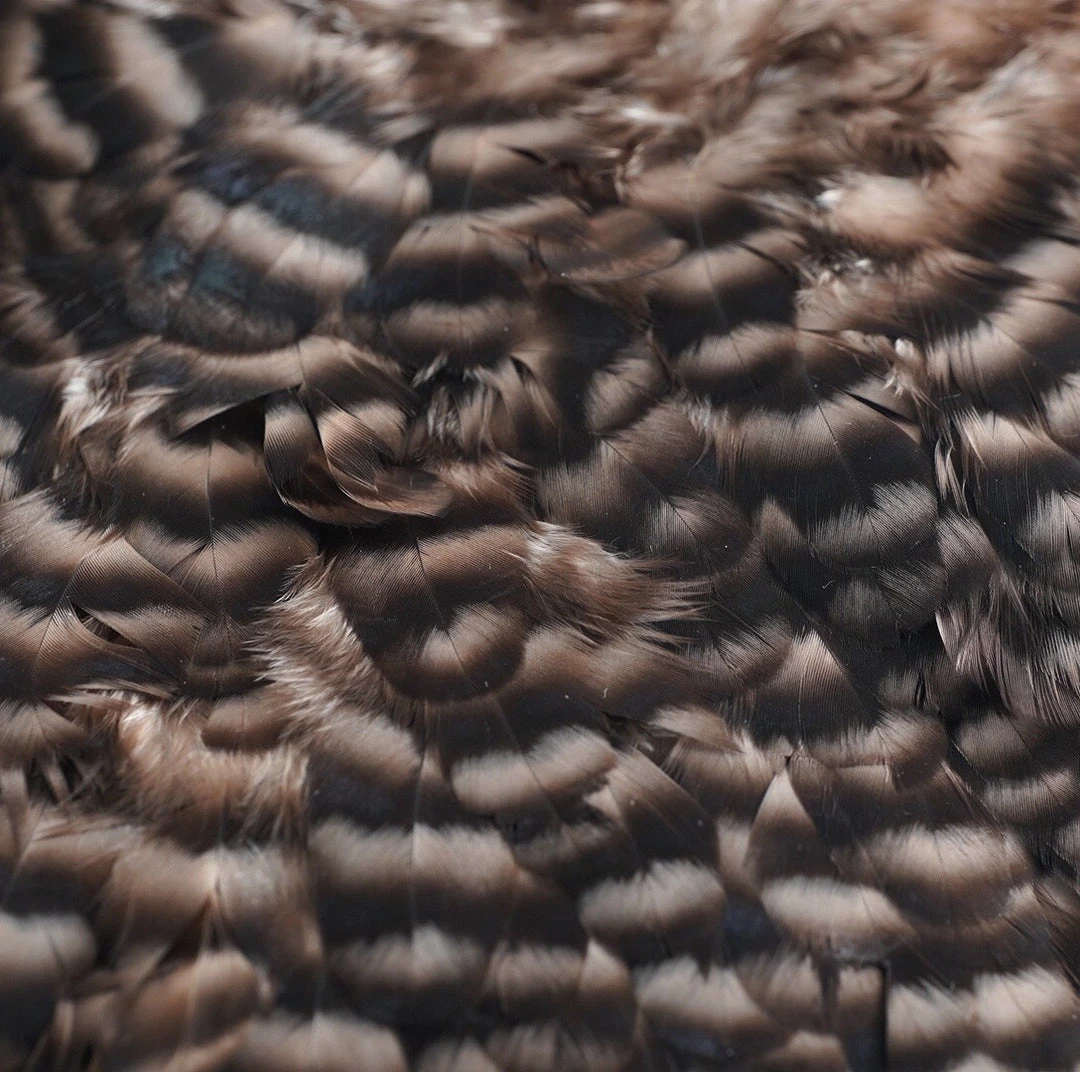 Nature's Spirit Feathers & Hackle Whiting American Hen Saddles 7 Nature's Spirit Feathers & Hackle Whiting American Hen Saddles