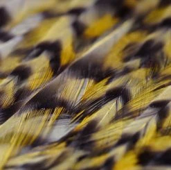 Nature's Spirit Feathers & Hackle Whiting American Rooster Saddles