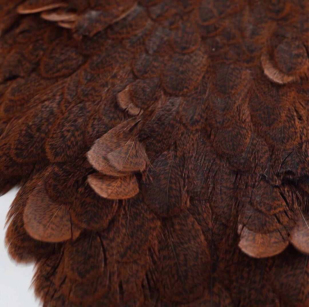 Nature's Spirit Whiting Brahma Hen Saddles With Chickabou Feathers & Hackle 7 Nature's Spirit Whiting Brahma Hen Saddles With Chickabou Feathers & Hackle