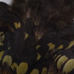 Nature's Spirit Whiting Soft Hackle With Chickabou Feathers & Hackle