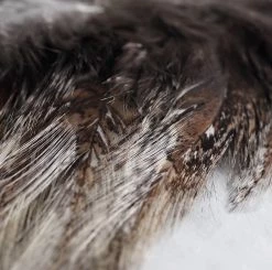 Nature's Spirit Whiting CDL Tailing Packs Feathers & Hackle 16 Nature's Spirit Whiting CDL Tailing Packs Feathers & Hackle