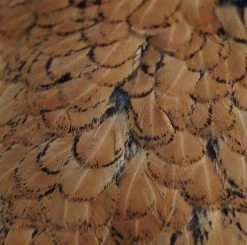 Nature's Spirit Feathers & Hackle Whiting American Hen Saddles 28 Nature's Spirit Feathers & Hackle Whiting American Hen Saddles