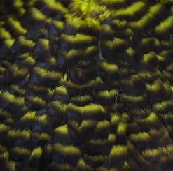 Nature's Spirit Feathers & Hackle Whiting American Hen Saddles 27 Nature's Spirit Feathers & Hackle Whiting American Hen Saddles