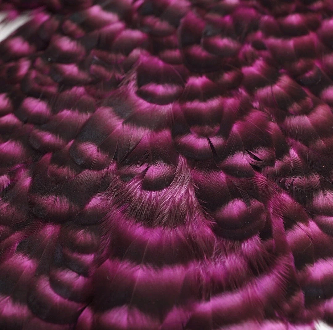 Nature's Spirit Feathers & Hackle Whiting American Hen Saddles 8 Nature's Spirit Feathers & Hackle Whiting American Hen Saddles