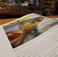 Angler's Book Supply The Brown Trout-Atlantic Salmon Nexus Books & DVDs