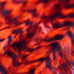 Nature's Spirit Feathers & Hackle Whiting American Rooster Saddles