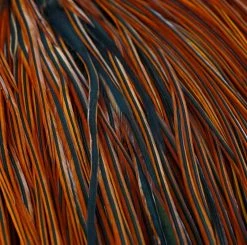 Nature's Spirit Whiting Pro Grade Saddles Feathers & Hackle