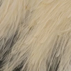 Umpqua Feather Merchants Feathers & Hackle Metz #2 Magnum Saddle 6 Umpqua Feather Merchants Feathers & Hackle Metz #2 Magnum Saddle