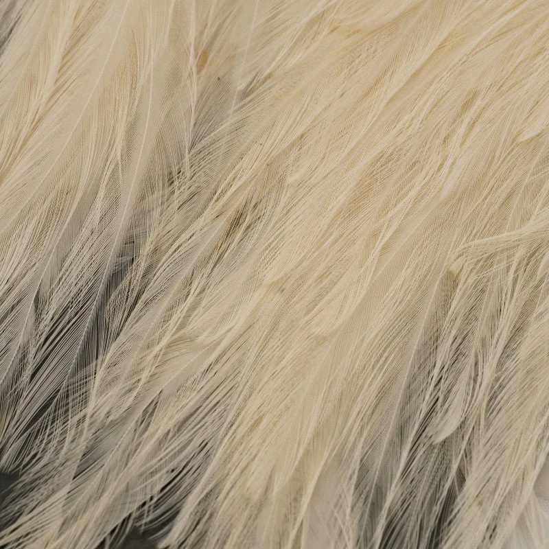 Umpqua Feather Merchants Feathers & Hackle Metz #2 Magnum Saddle 3 Umpqua Feather Merchants Feathers & Hackle Metz #2 Magnum Saddle