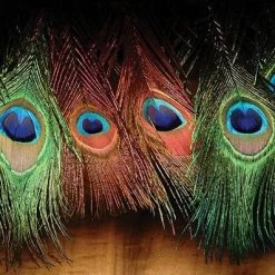 Hareline Dubbin Feathers & Hackle Peacock Eyed Sticks