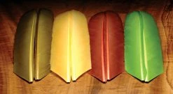 Hareline Dubbin Turkey Biot Quills Feathers & Hackle
