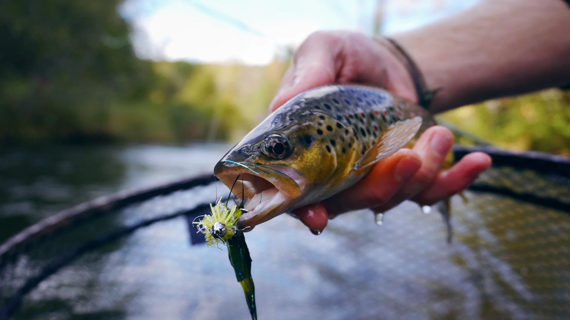 The Northern Angler Fly Shop -The Northern Angler Fly Shop Streamer Web 85ca9ab5 5e01 44bb a5bb